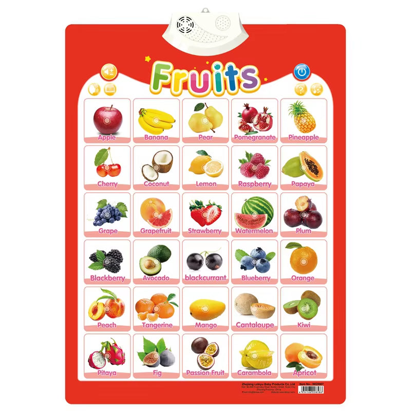 Electronic Interactive Wall Charts Toddler Learning Educational Posters for Kids Ages 2-5
