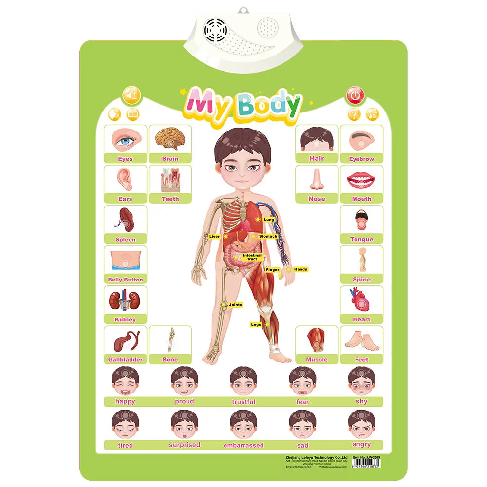 Electronic Interactive Wall Charts Toddler Learning Educational Posters for Kids Ages 2-5 