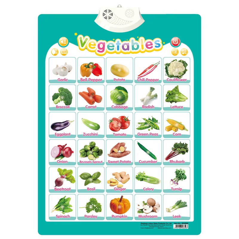 Electronic Interactive Wall Charts Toddler Learning Educational Posters for Kids Ages 2-5 