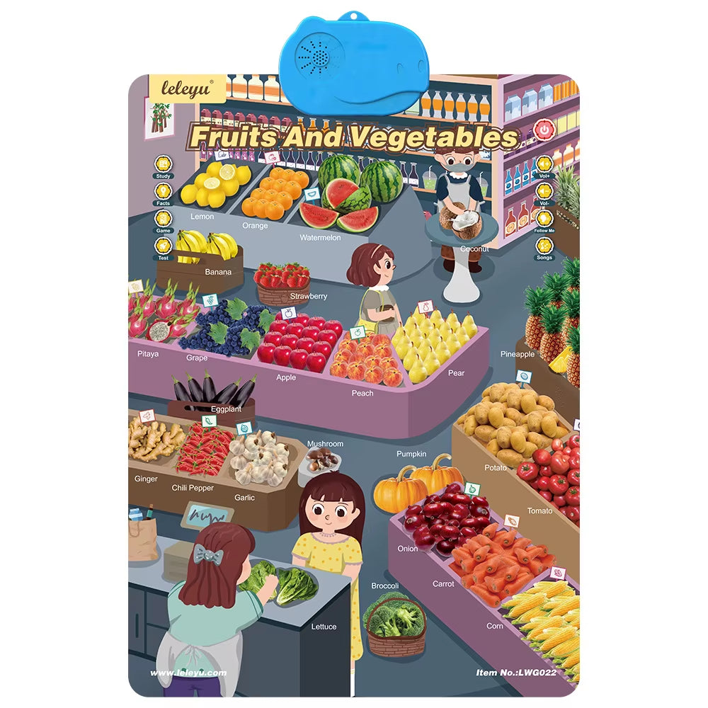 Electronic Interactive Wall Charts Toddler Learning Educational Posters for Kids Ages 2-5 